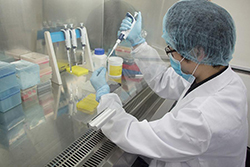 杭州上户口DNA鉴定如何做,杭州上户血缘检测多长时间可以出结果